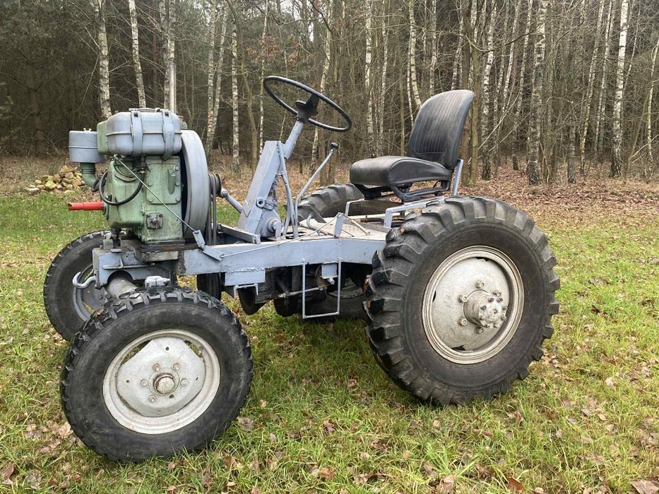 Es, esiok, ciapek,sam