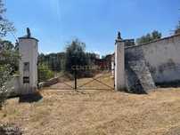 Propriedade com Oliveiras e Sobreiros à Venda – Projecto Aprovado para