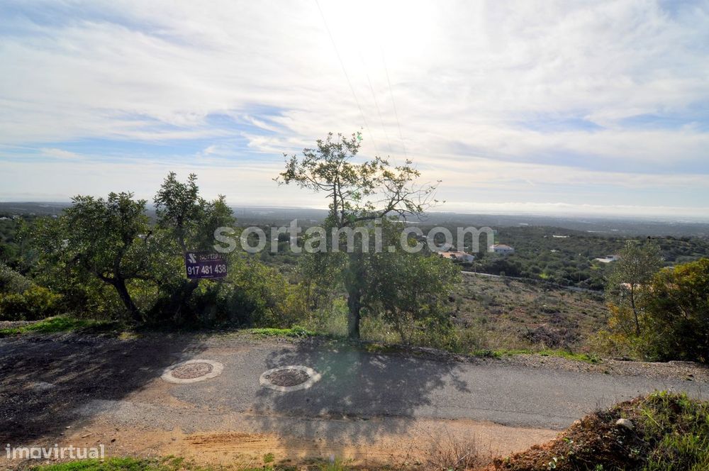 Terreno Rústico  Venda em Conceição e Estoi,Faro