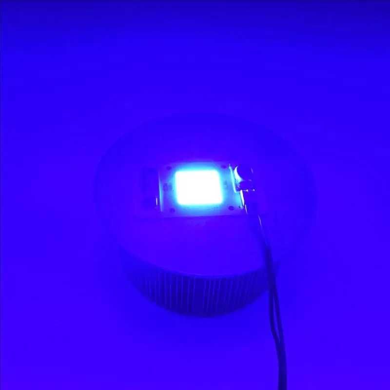 Синий Светодиод 50 ватт 220 вольт (потребление 30 ватт) 450nm 460nm UV