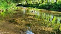 Terreno junto ao rio de Estorãos com 15 Oliveiras