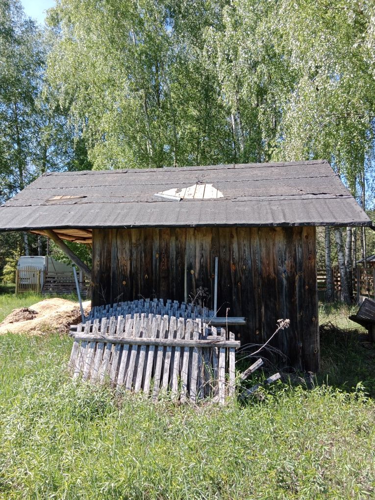 Stajnia dla konia za grosze