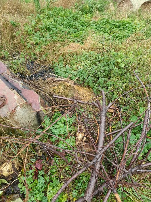 Oddam  dużo gruzu cegły dachówki  tynk