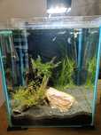 Kostka Aquael 30l