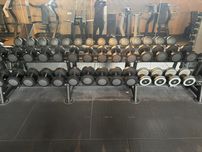 Zestaw hantli Technogym Uretan / Eleiko 4-30kg!