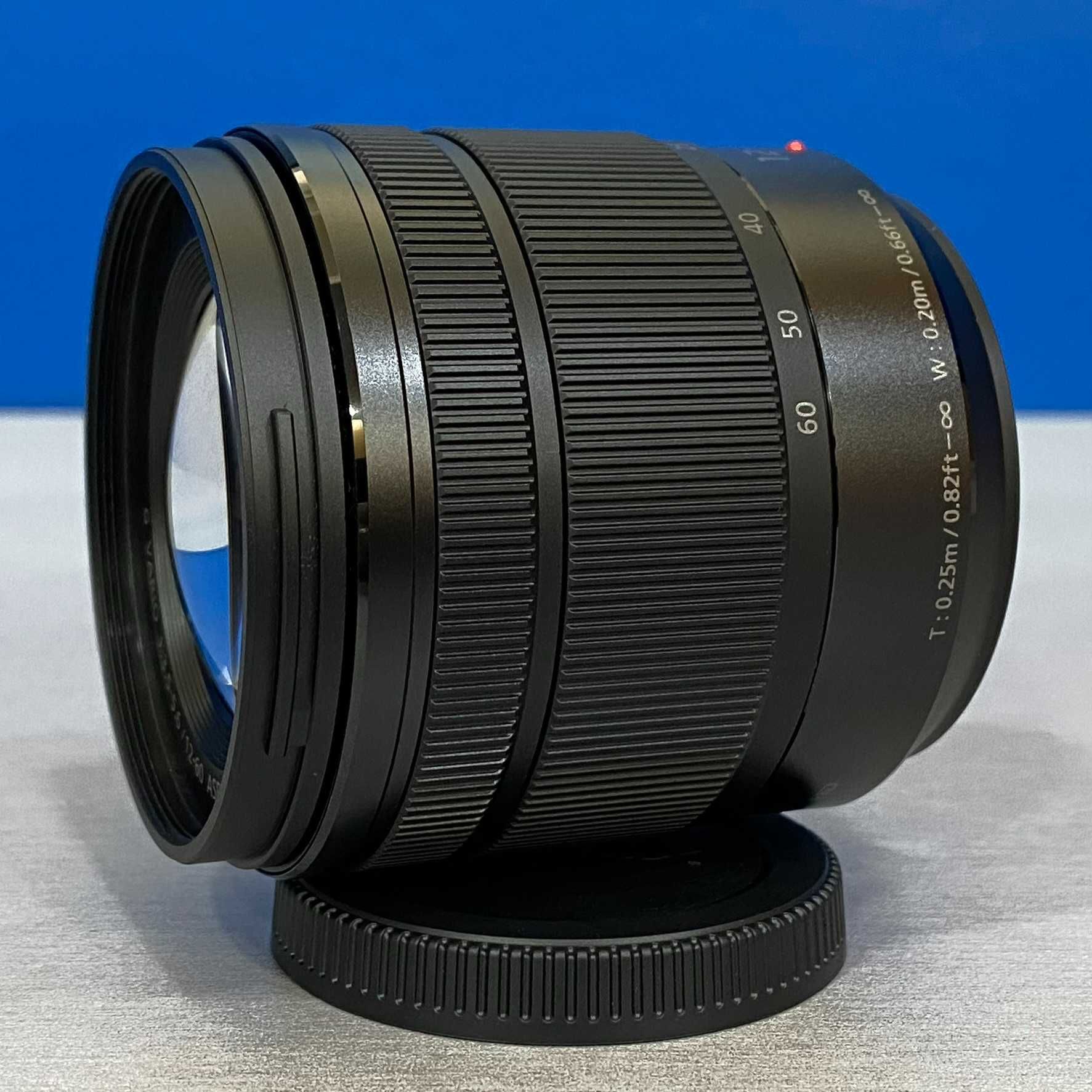 Panasonic Lumix G Vario 12-60mm f/3.5-5.6 ASPH Power O.I.S (NOVA)