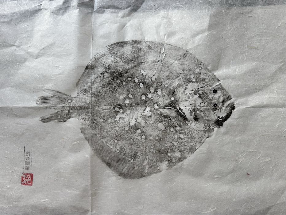 Impressão de peixe Gyotaku Turbot