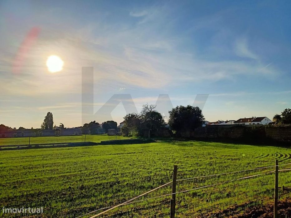 Terreno para Construção * 2,9 hectares na Golegã, em plena Malha Urban