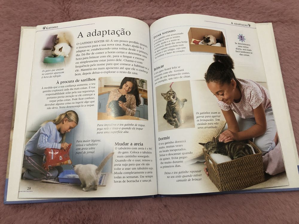 Livro "Gatinho - Como cuidar e educar"