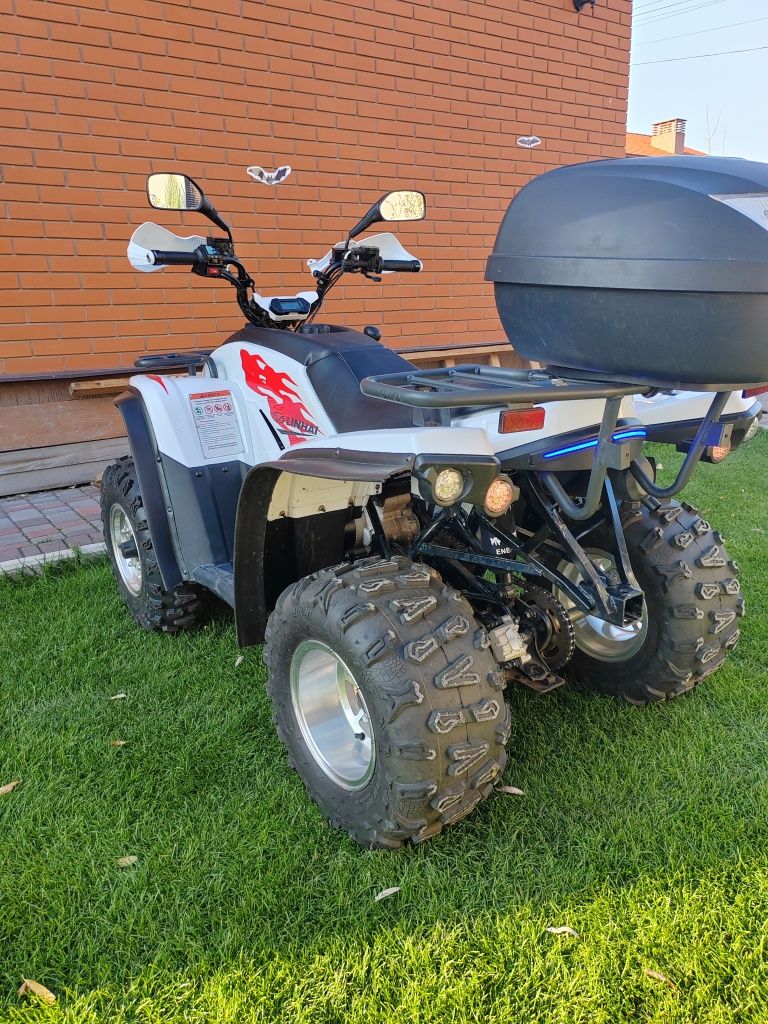 Квадроцикл Лінхай Linhai Z 180