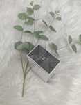 Chanel Platinum Egoiste 100ml