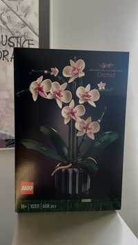 LEGO 10311 ICONS Orchidea Orchid