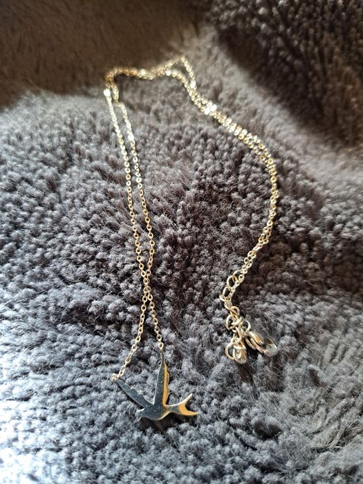 Celebrytka jaskólka stal chirurgiczna. Nowa