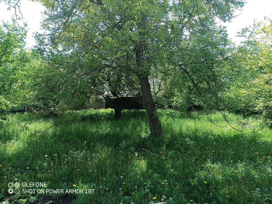 Продаж будинку в Малинівці