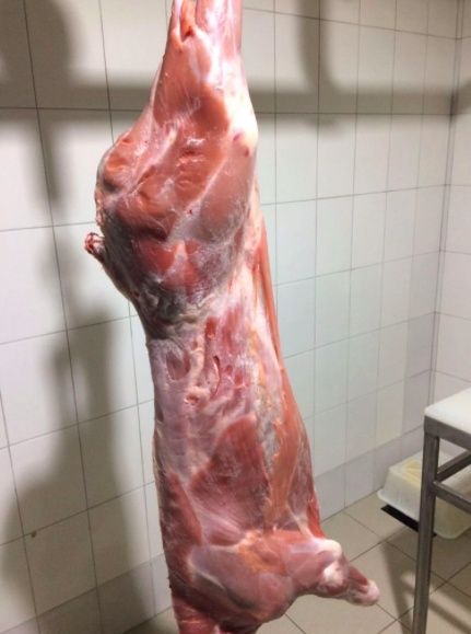 Телятина говядина м'ясо бык