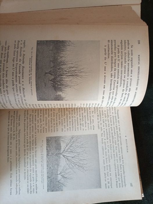 As Pomóideas (.)	Manual E. do Agricultor Português 1954 Duarte Amaral