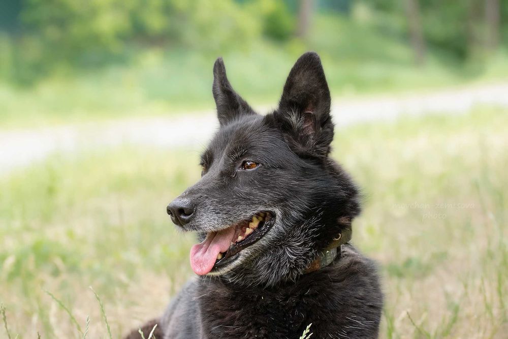 Зара шукає родину