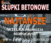 Słupek betonowy | Siatka leśna | Bramy Tanio