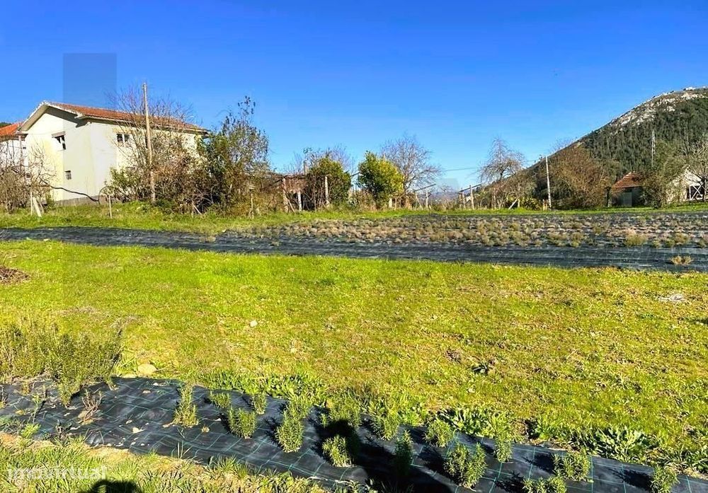 Oportunidade Jovem Agricultor - Quinta com Moradia T3, cerca de 4 hect