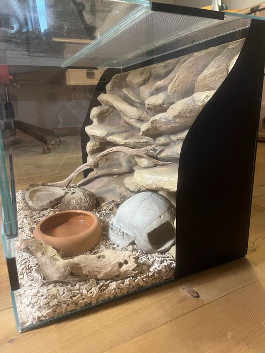 Terarium dla gekona i nie tylko. Pełne wyposażenie