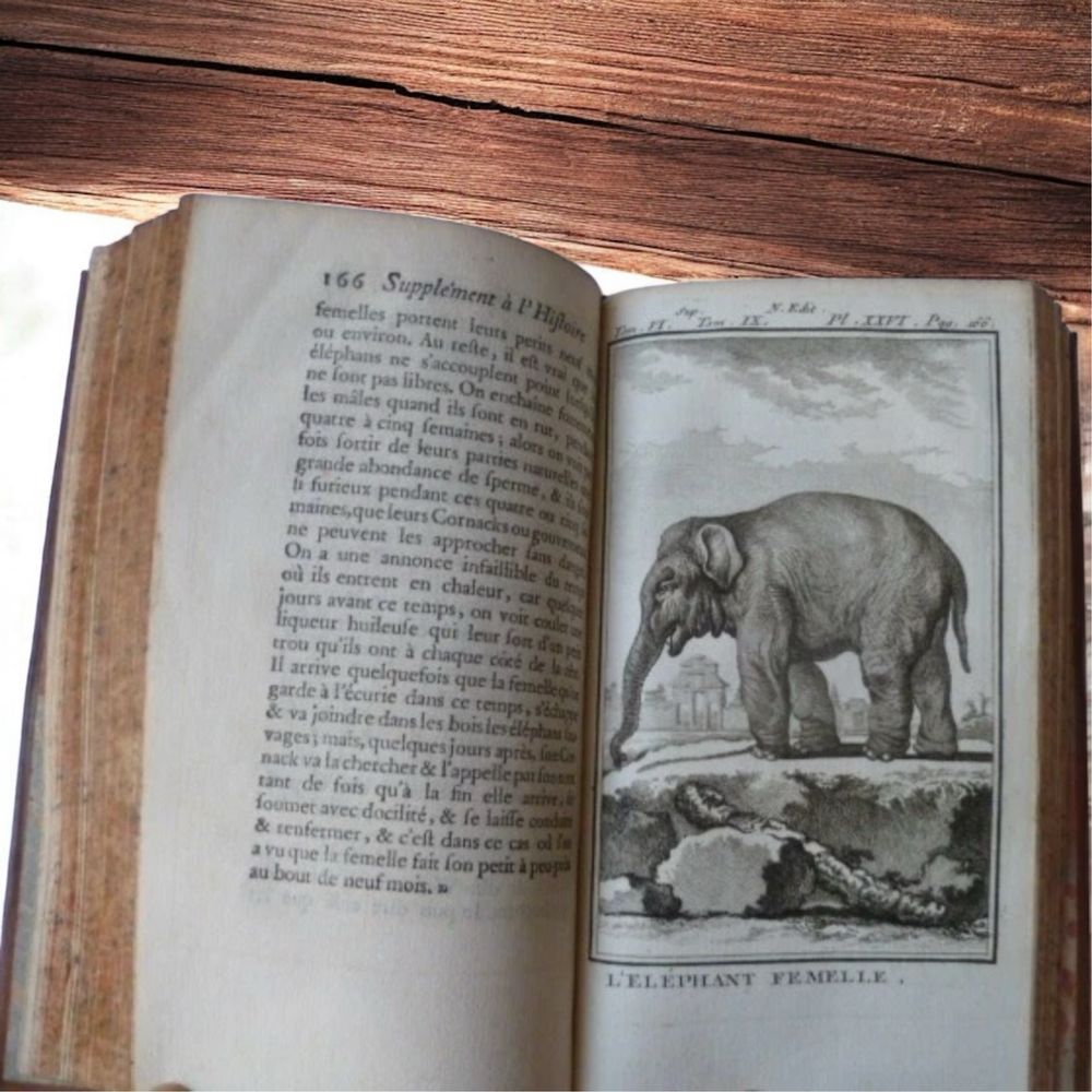 Zwierzeta Buffon 1777 miedzioryty