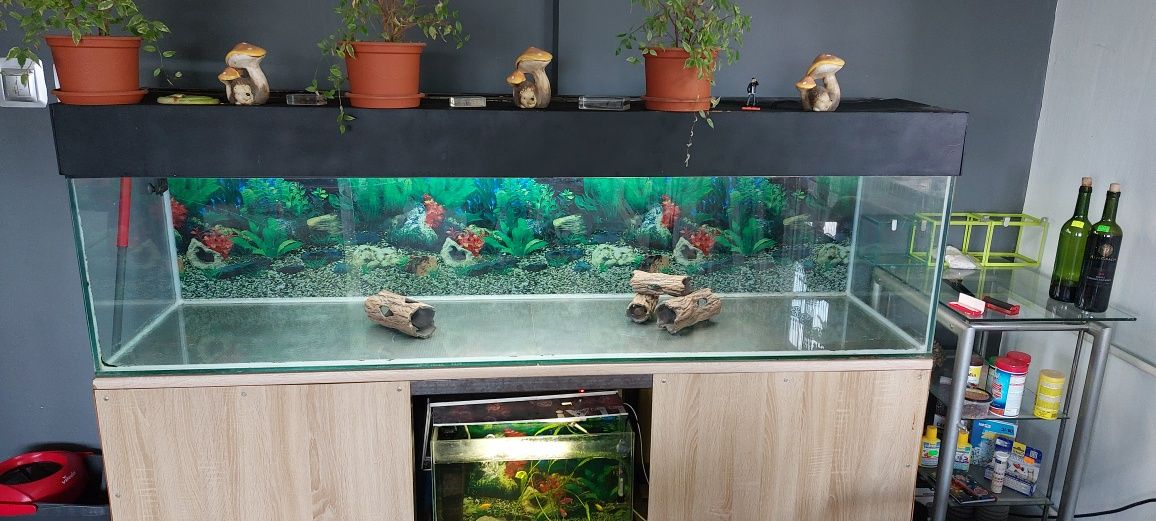 Sprzedam akwarium 500l