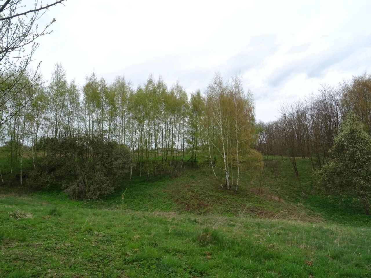 Dom letniskowy z działką rolną