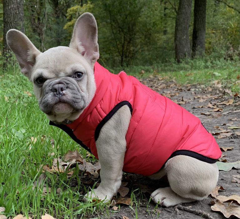 Шикарна мала чекає батьків