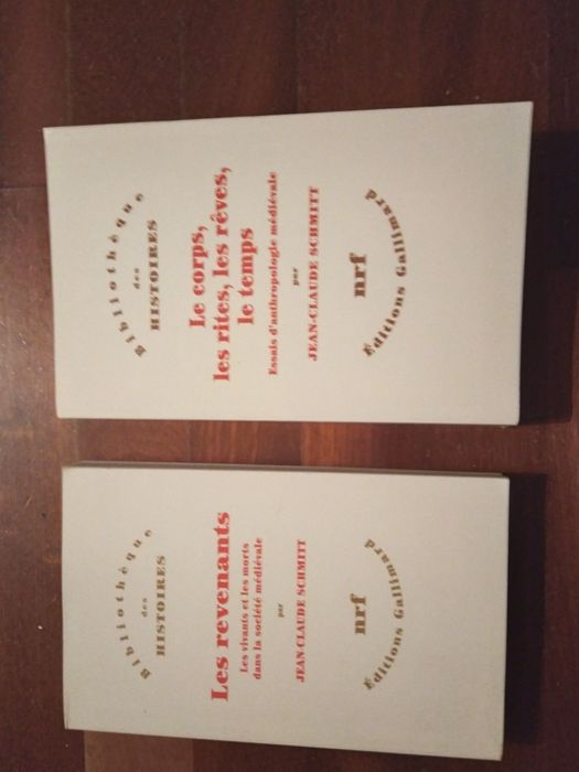 Jean-Claude Schmitt, Les revenants. Les vivants et les morts dans la s