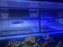 Lampy akwarystyczne HQI