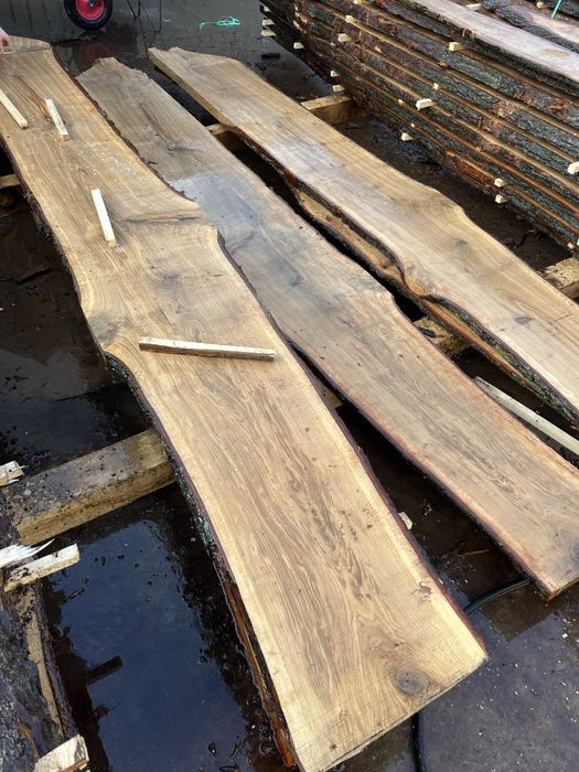 Dąb deski tarcica nie obrzynany