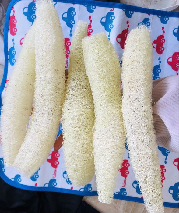 Насіння Люфи натуральна мочалка