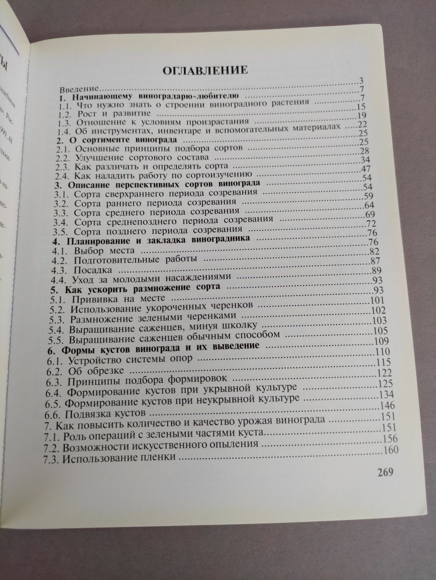 Виноград на приусадебном участке Раджабов