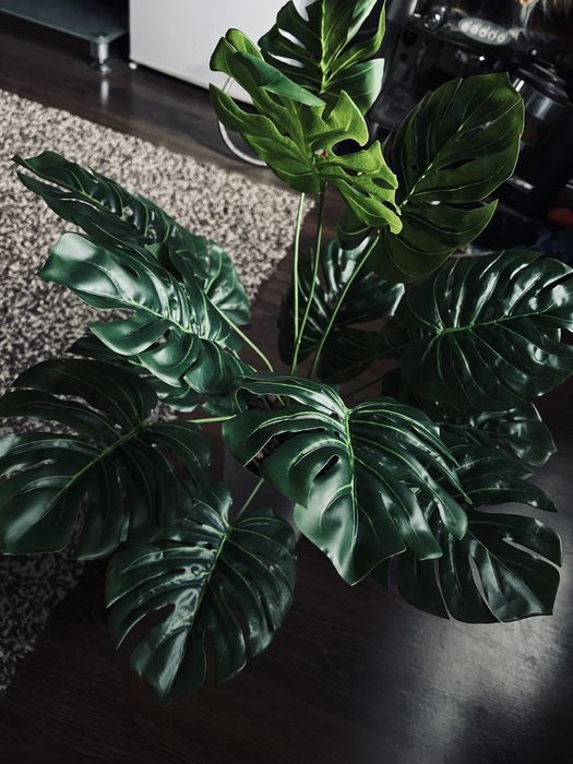 Искусственная монстера латекс, штучна латексная