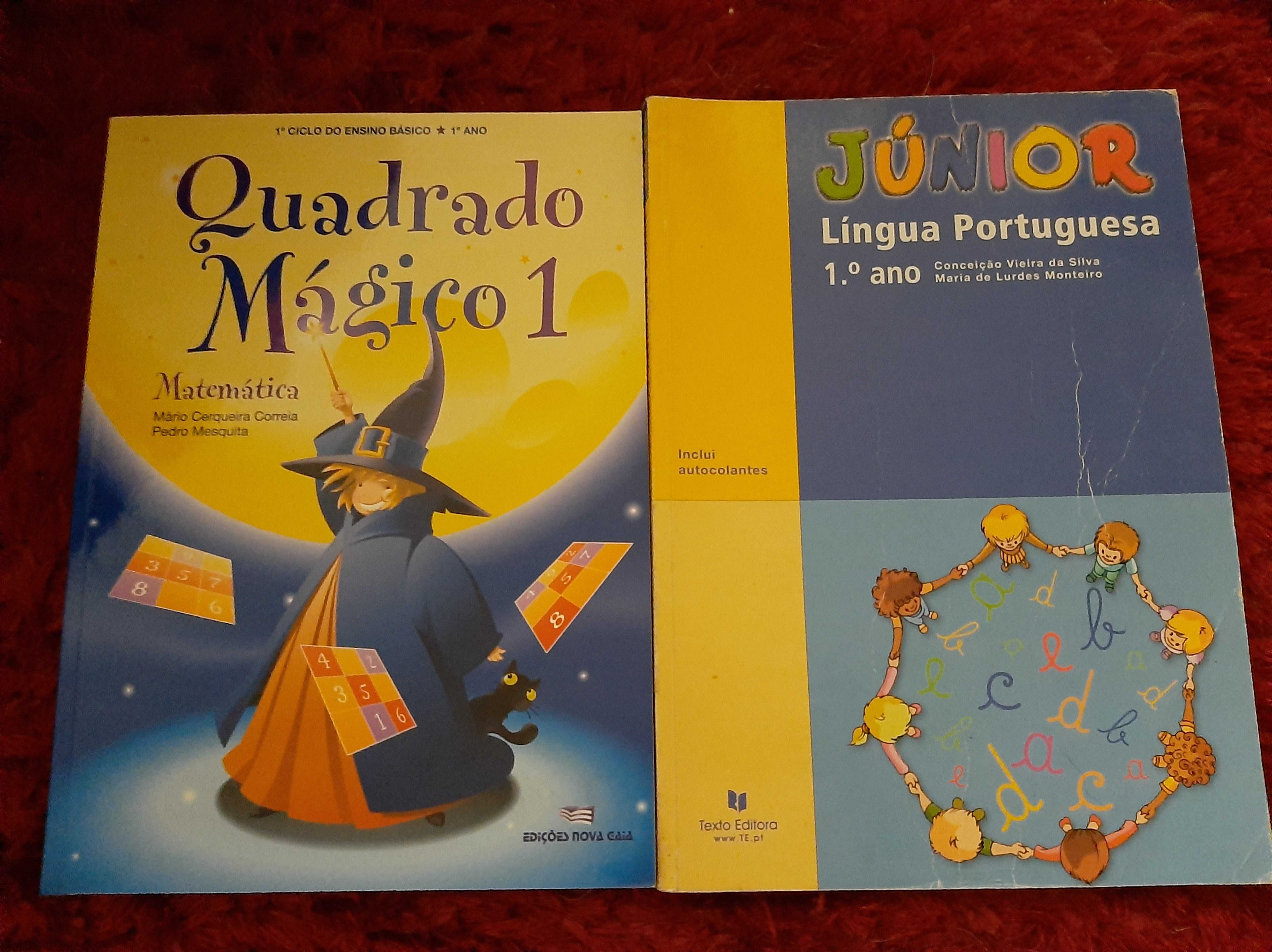 Manuais 1.ºAno, Matemática, Língua portuguesa