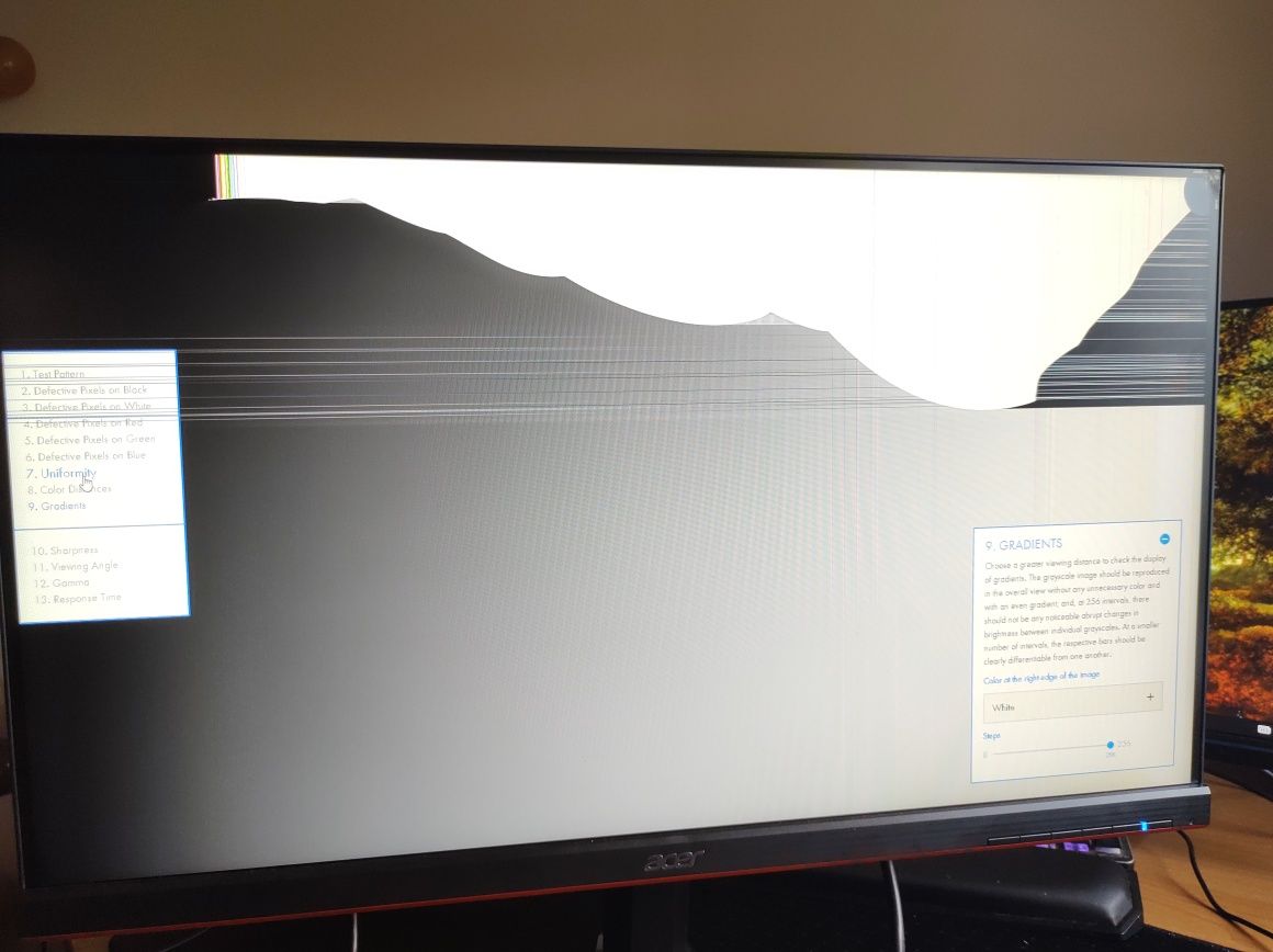 Monitor Acer 240hz KG251Q [uszkodzony]