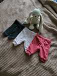 Zestaw dresy spodnie legginsy body 50 56 lupilu lidl