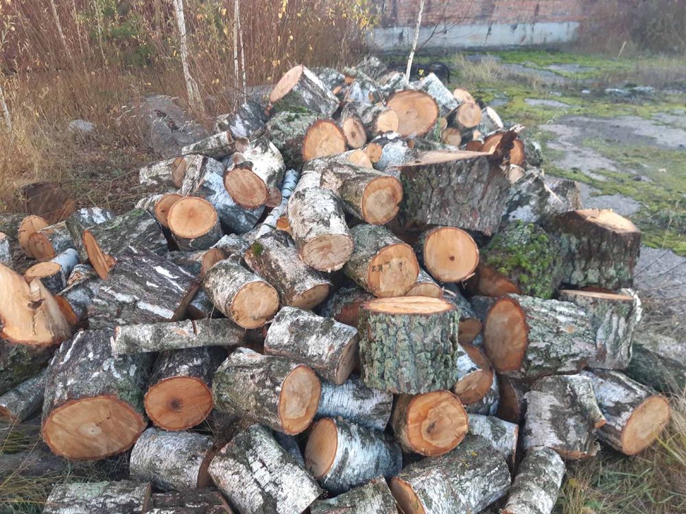 Продам  дрова різних порід