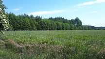 Działka rolna 9,66 ha