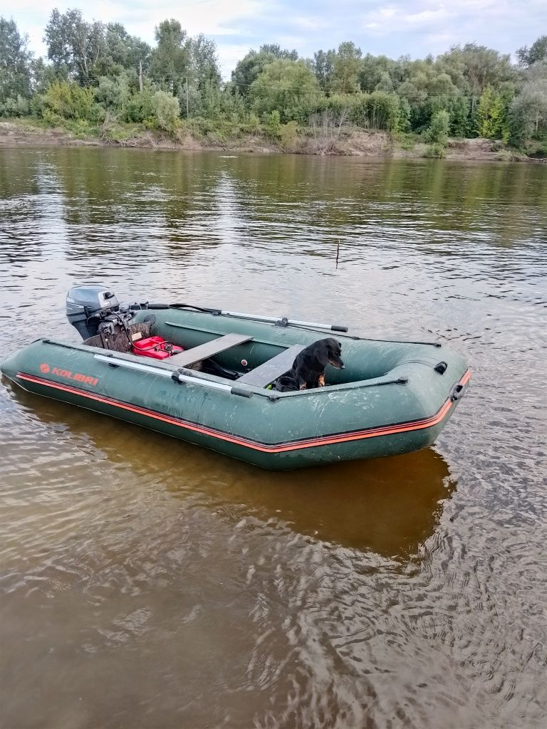 Лодочный мотор Yamaha f9.9fmhs и лодка Kolibri km-330new