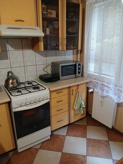 Pokój do wynajęcia w świetnej lokalizacji