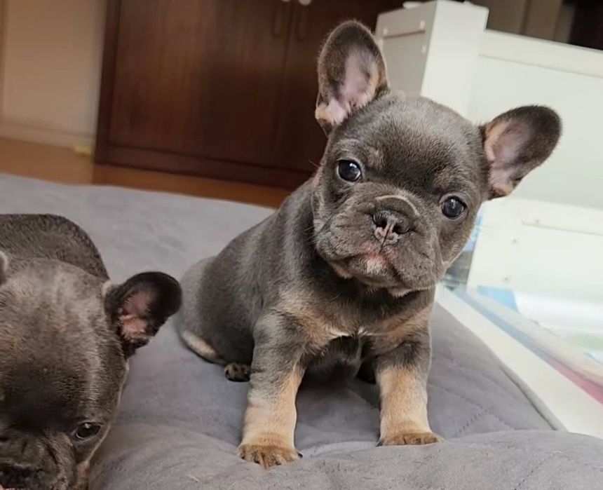 Малишка чекає родину*