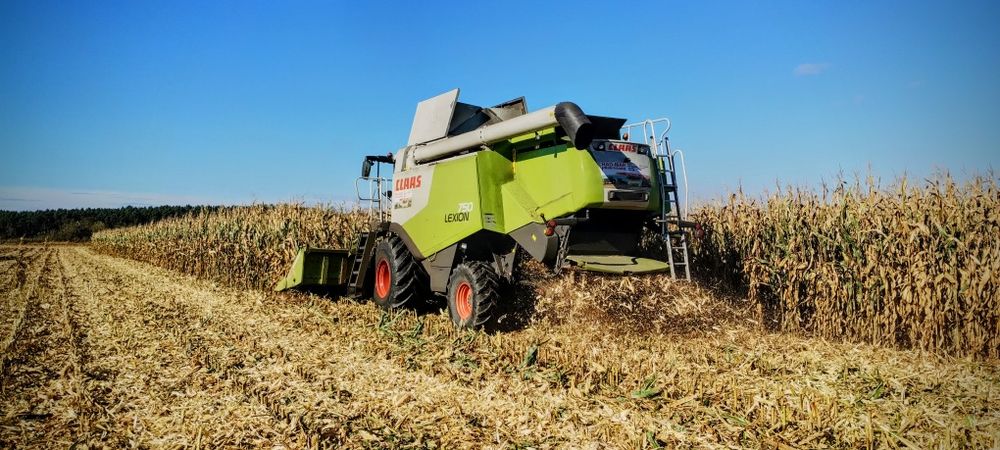 Usługa zbioru zboża, rzepaku, kukurydzy