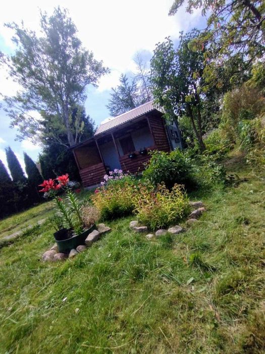 Działka ROD Kwitnących Jabłoni. Jedyna taka 450m2.