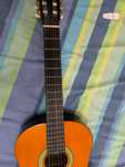 Violão (Guitarra Acústica)