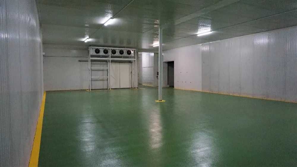 Magazyn chłodnia hala komora magazynowanie przeładunki 300 m2 Błonie