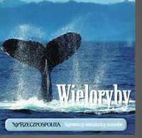 Film VCD - Wieloryby