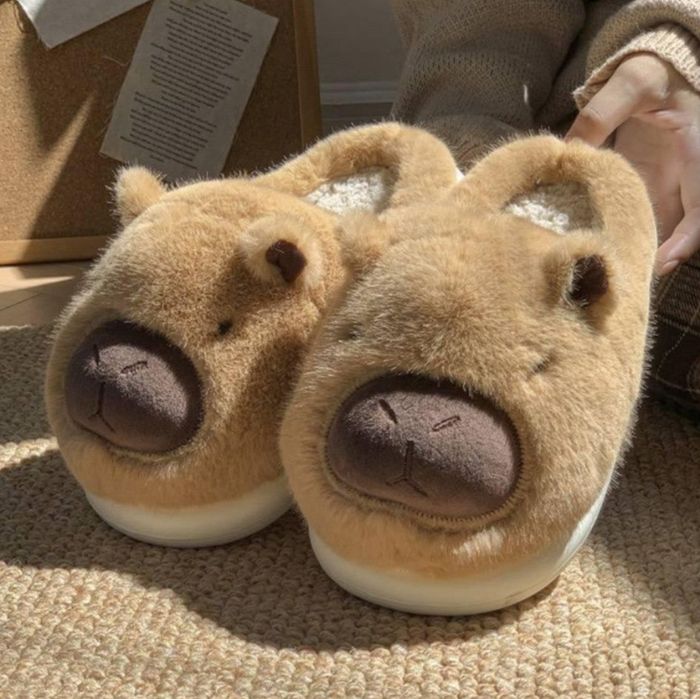 домашні капці Капібара Capybara