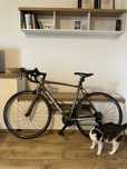 Rower Kross w idealnym stanie