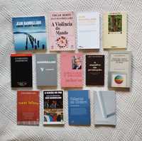 Coleção De Livros (Jean Baudrillard)
